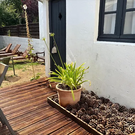 Le 64 * Châtelaillon-Plage